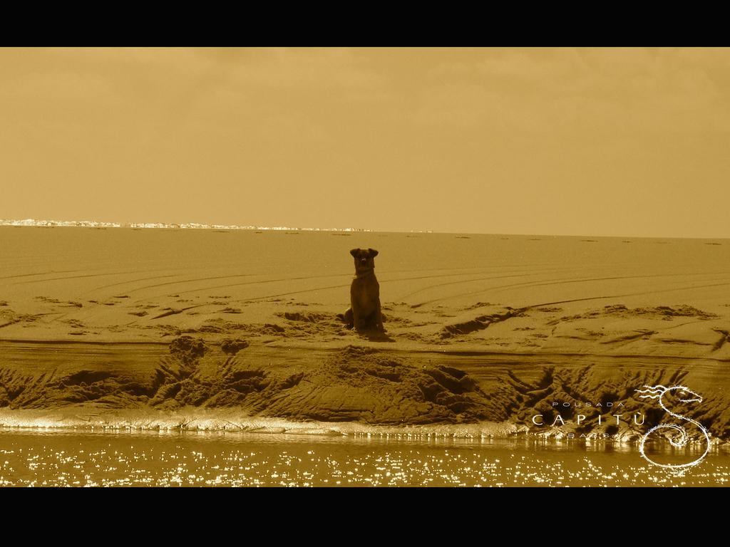 Pousada Capitù Imbassai Esterno foto
